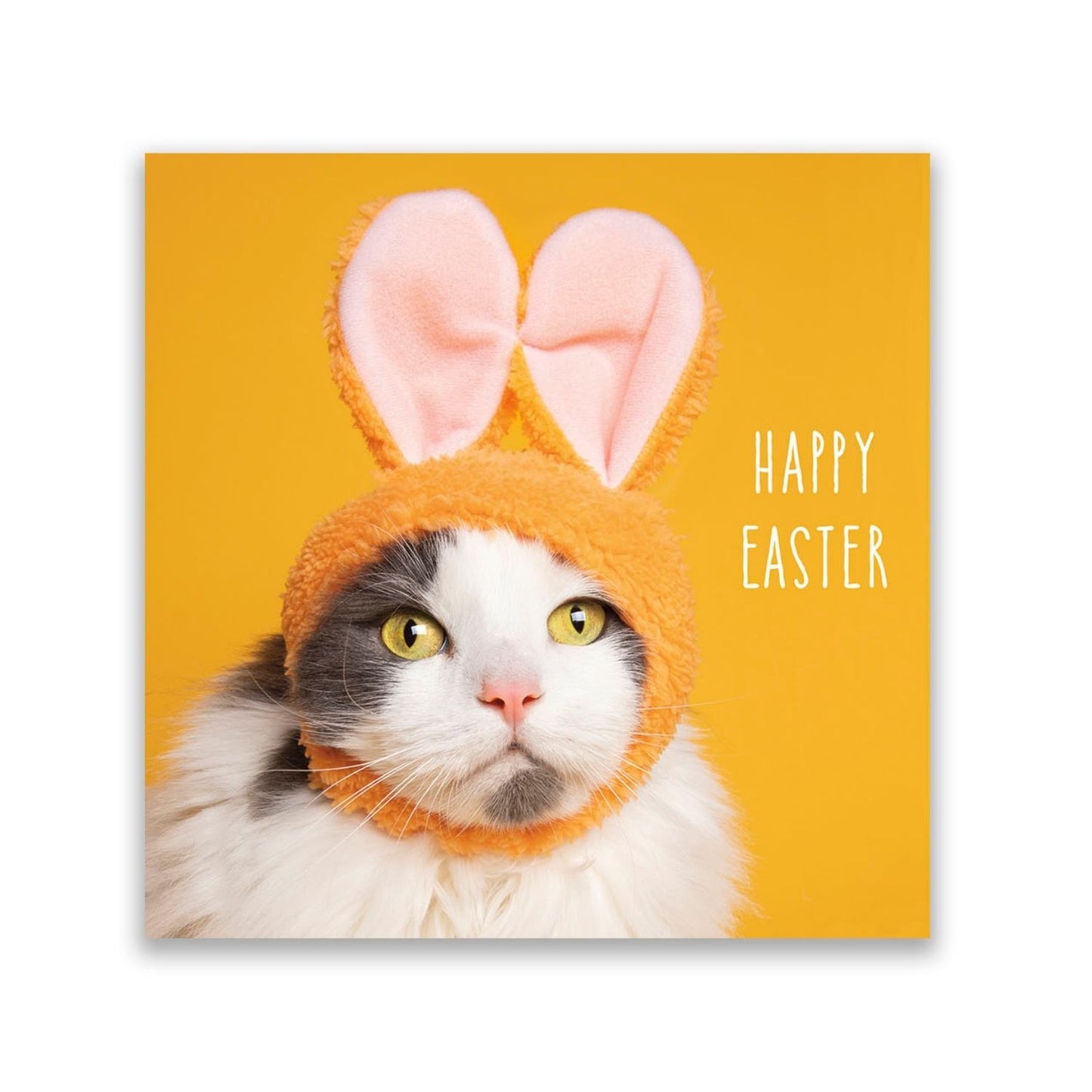 Pack Of 6 NSPCC Happy Easter Cute Cat Easter Cards Charity Greeting Cards
