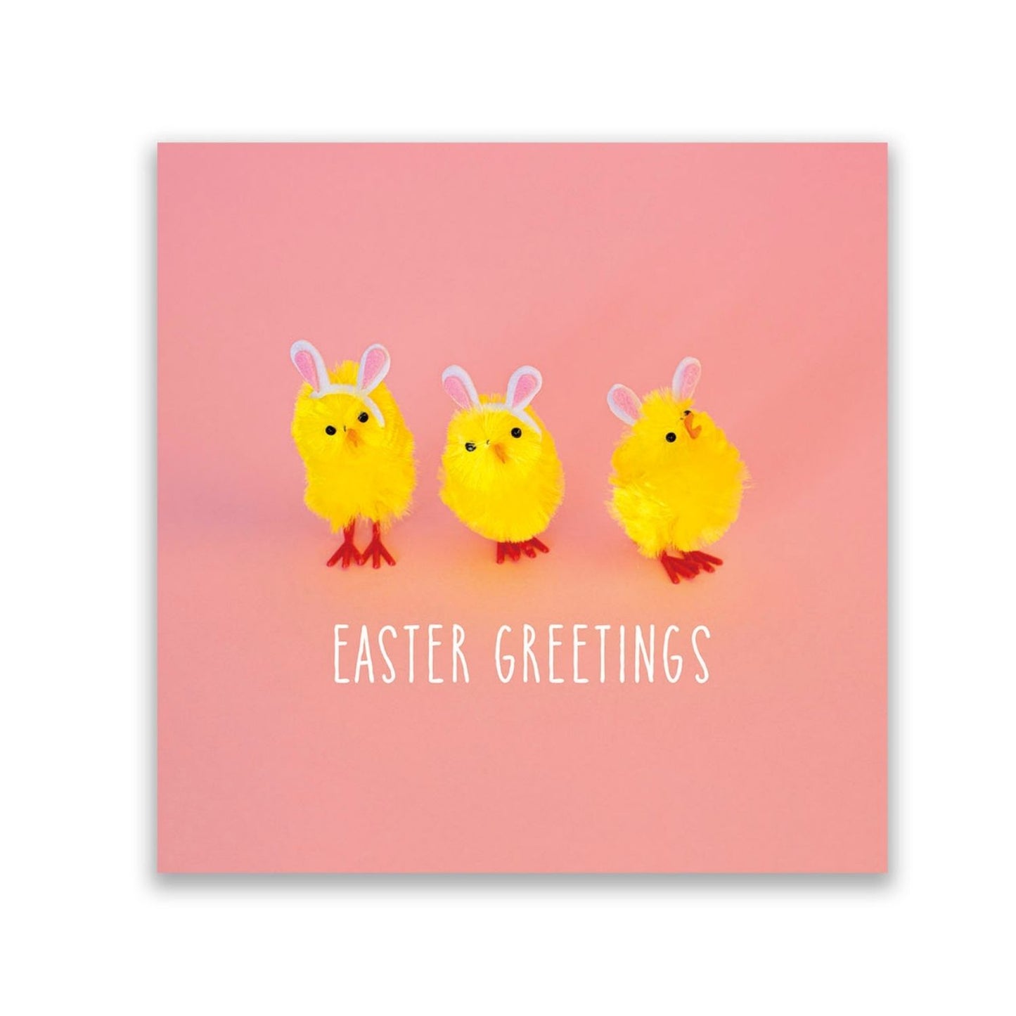 Pack Of 6 NSPCC Happy Easter Cute Cat Easter Cards Charity Greeting Cards