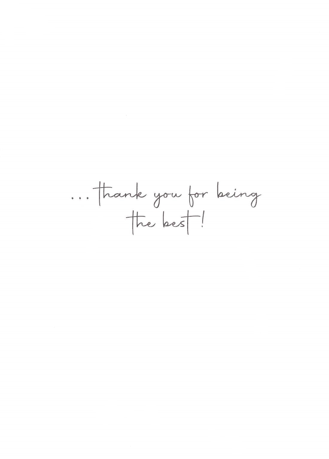 No One Measures Up To You Cheers To Perfection! Mother's Day Greeting Card