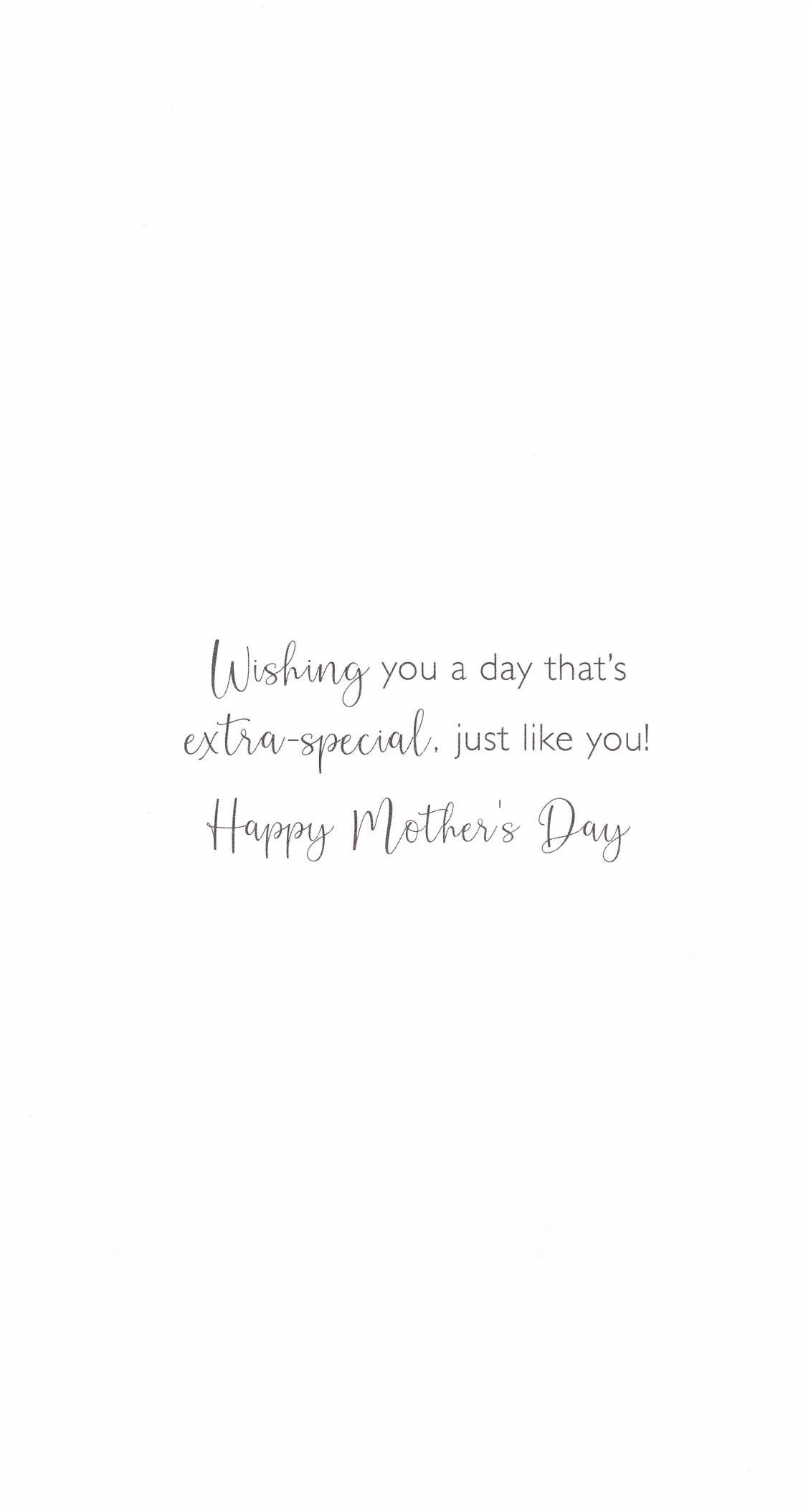 An Amazing Mum Perched For Perfection! Mother's Day Hand-Finished Greeting Card