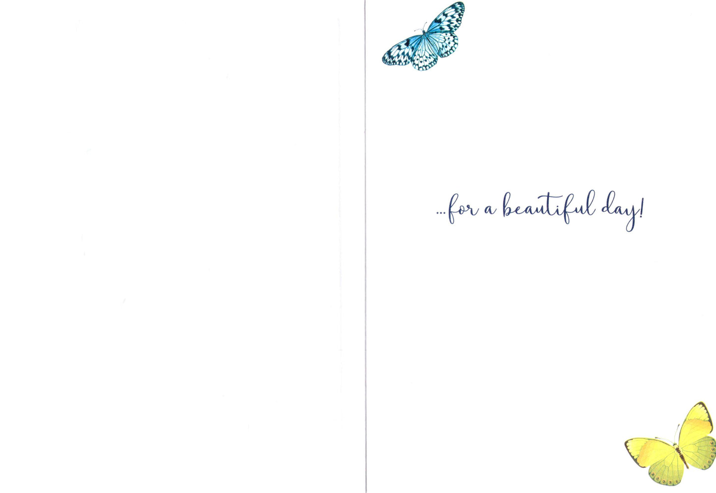 Birthday Wishes Butterflies Birthday Card