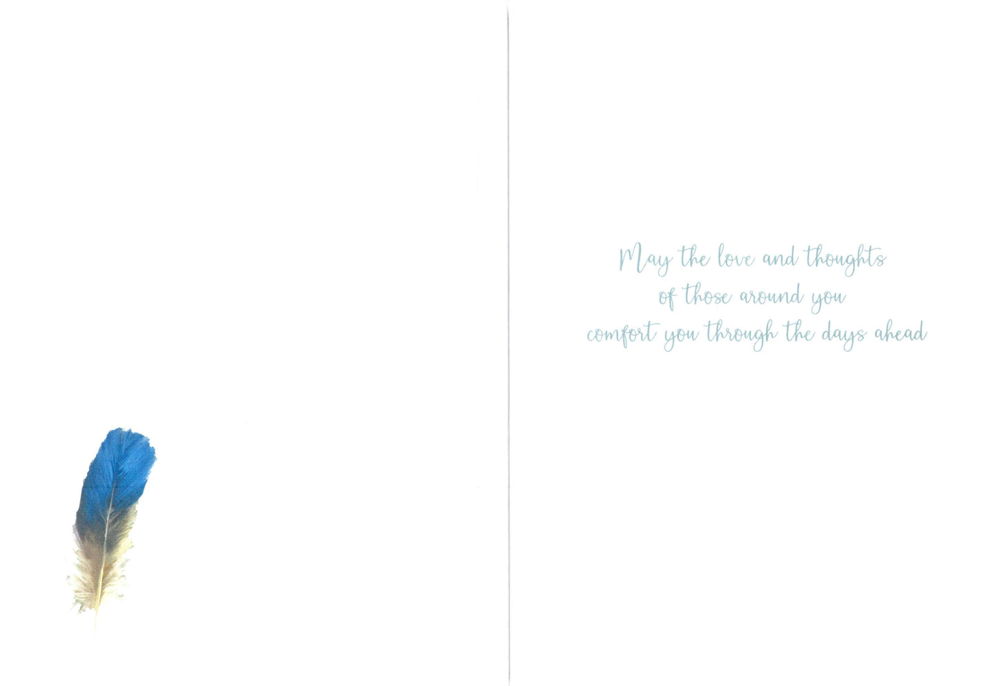 With Sympathy Lone Feather Sympathy Card