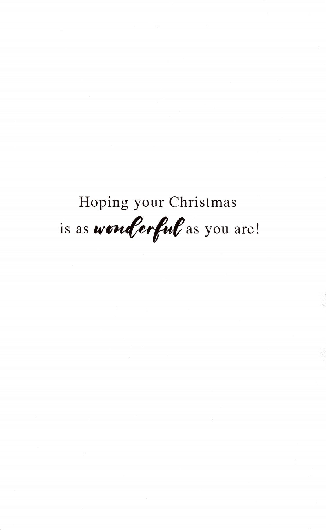 Fabulous Friend Robin Embellished Christmas Card