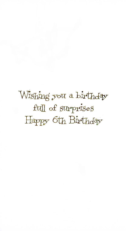 Girls 6th Birthday 6 Today Embellished Greeting Card