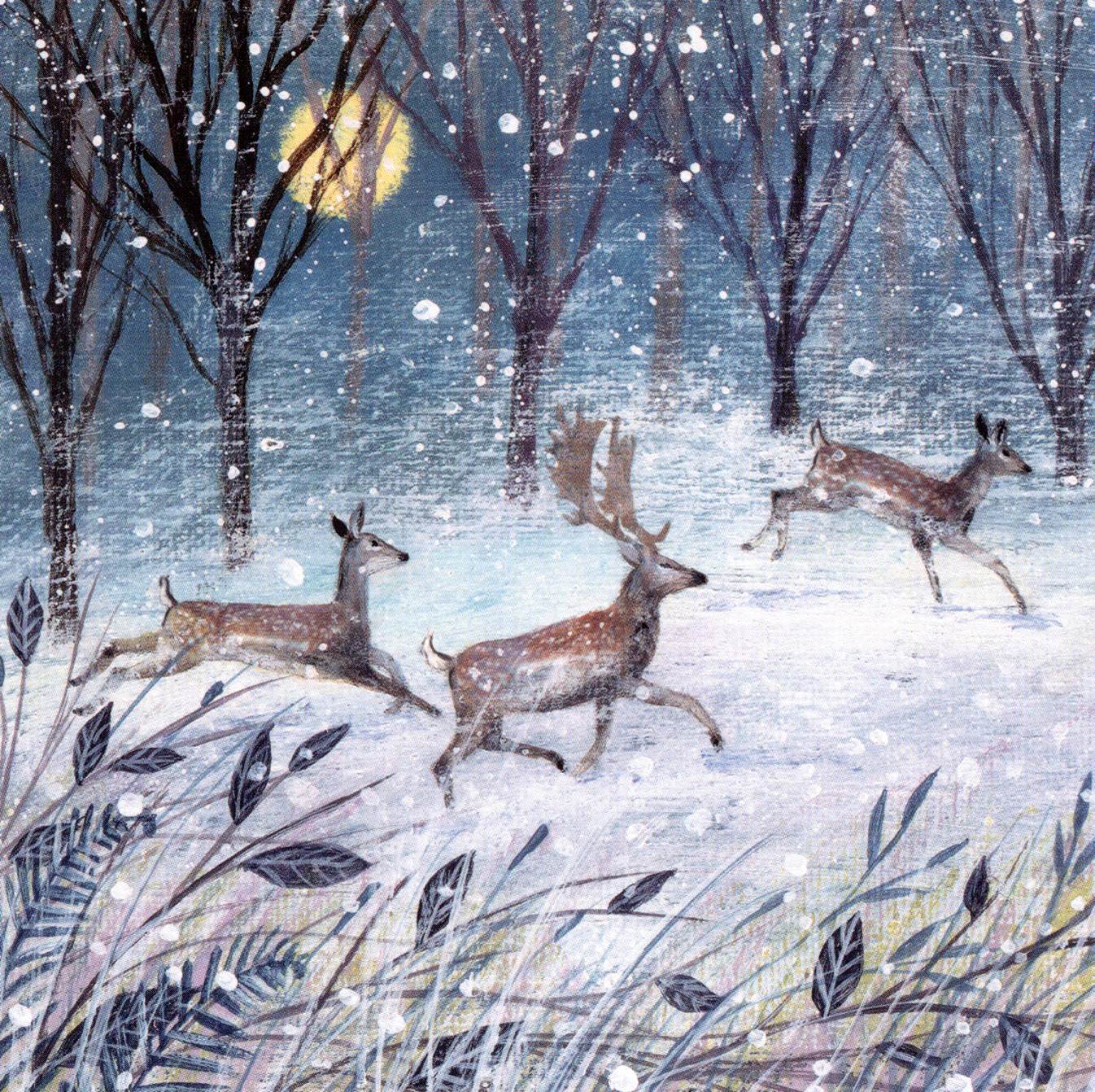 RSPB Box of 20 Birds & Wildlife Assorted Charity Christmas Cards