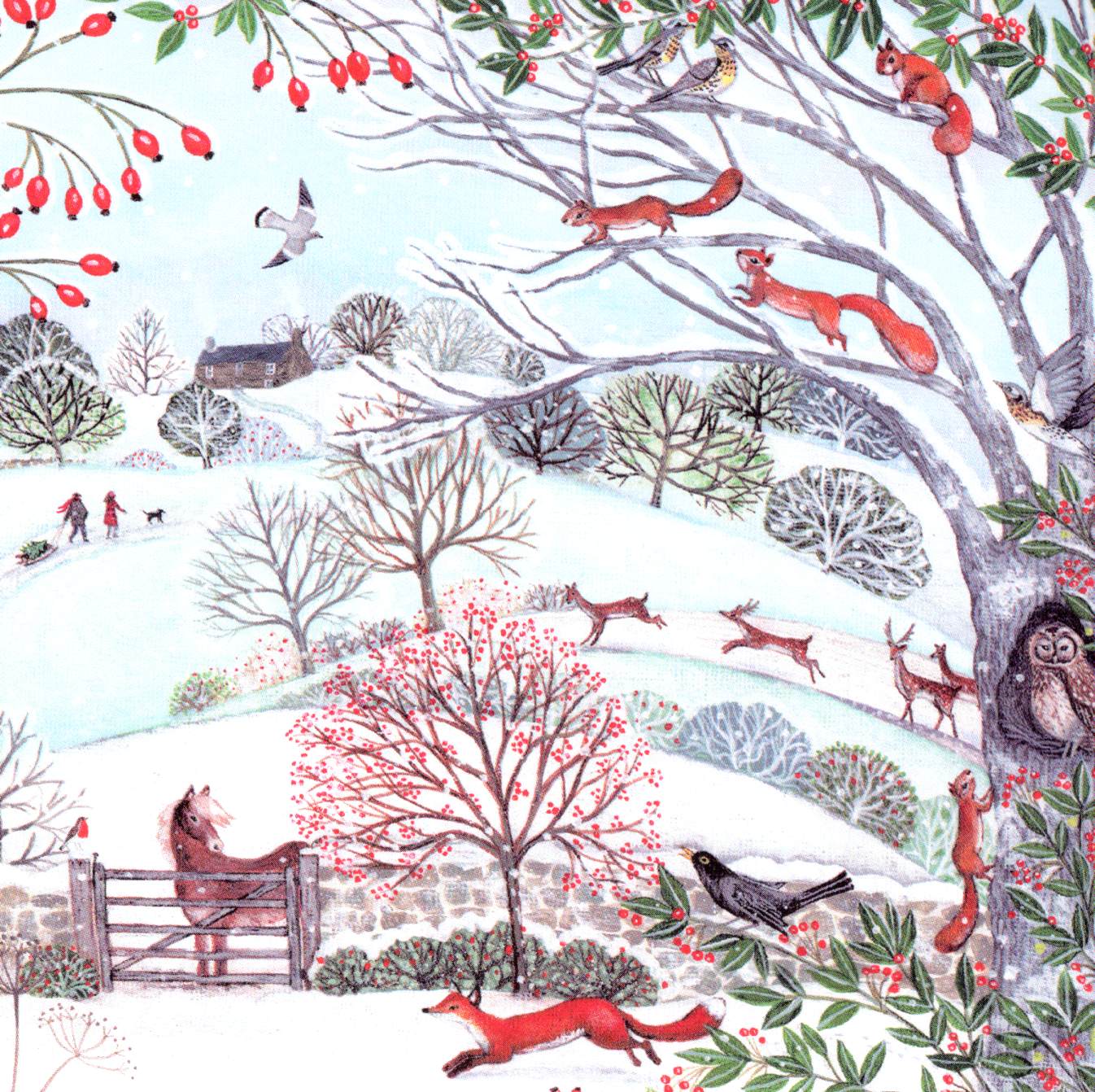 RSPB Box of 20 Birds & Wildlife Assorted Charity Christmas Cards