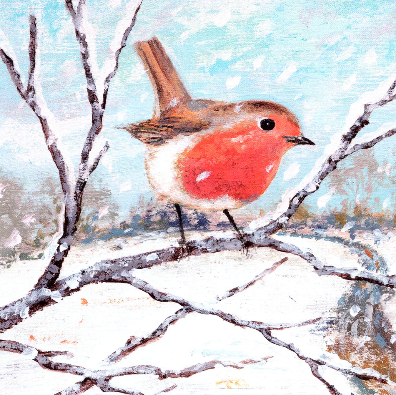 RSPB Box of 20 Birds & Wildlife Assorted Charity Christmas Cards