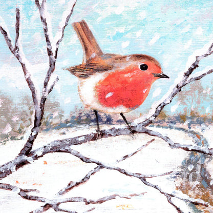 RSPB Box of 20 Birds & Wildlife Assorted Charity Christmas Cards