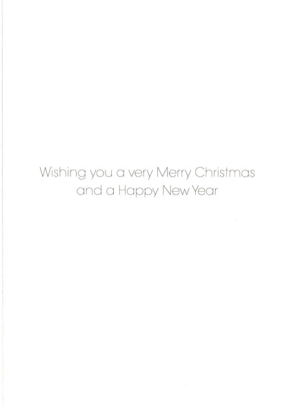 RSPB Box of 20 Birds & Wildlife Assorted Charity Christmas Cards