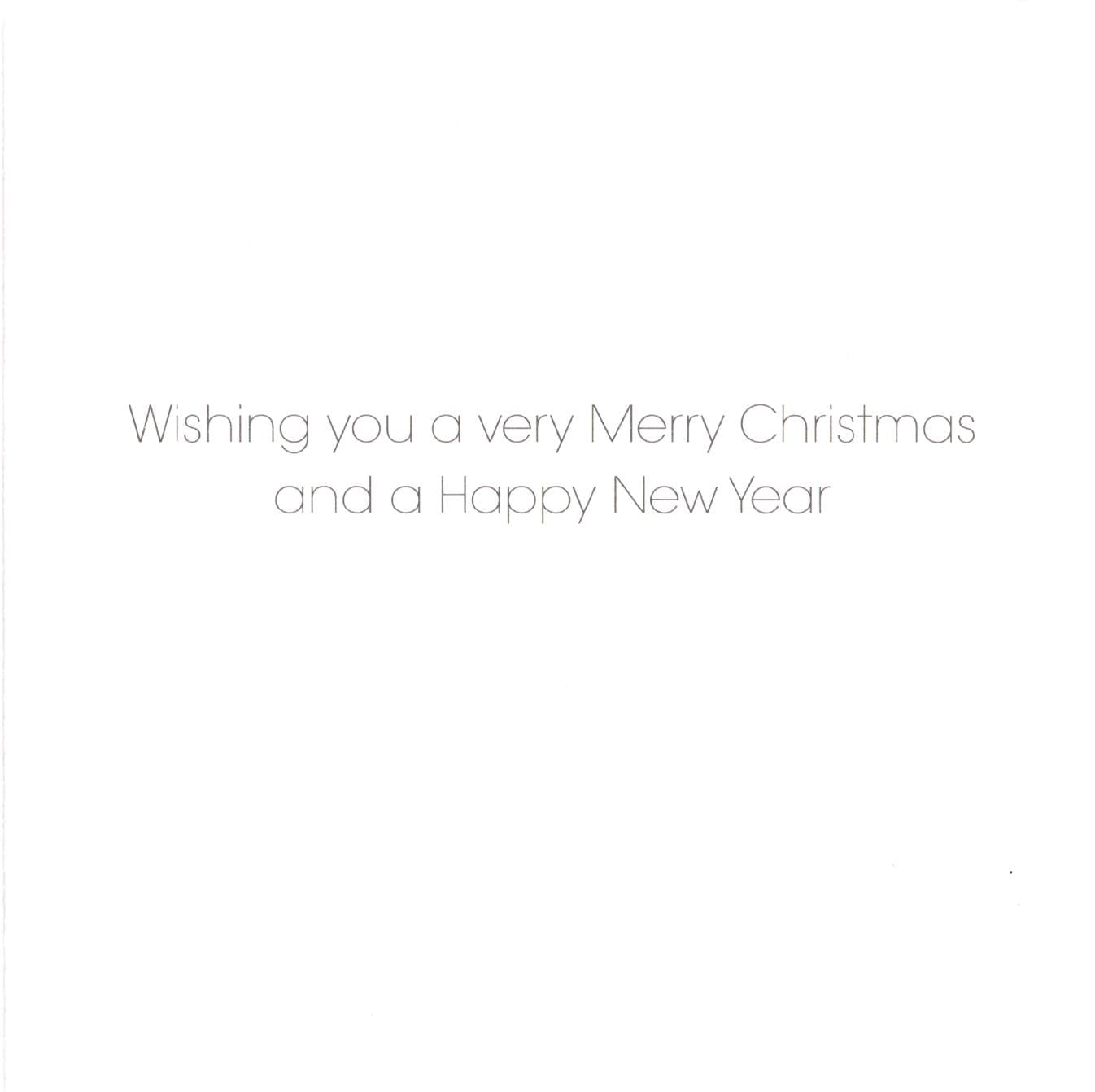 RSPB Box of 20 Birds & Wildlife Assorted Charity Christmas Cards