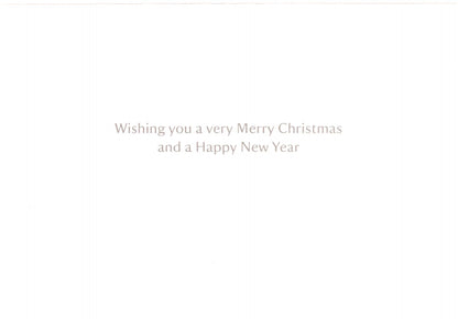 National Trust Birds & Wildlife Box Of 20 Charity Christmas Cards