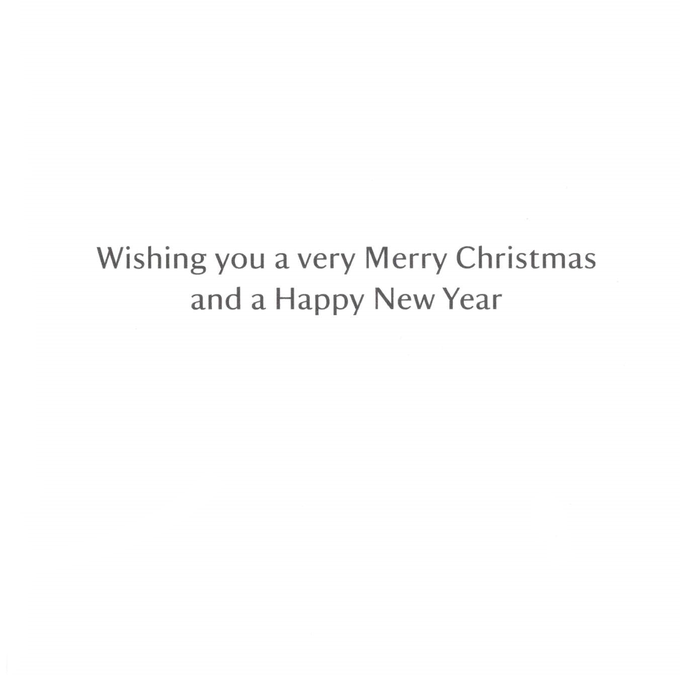 National Trust Birds & Wildlife Box Of 20 Charity Christmas Cards