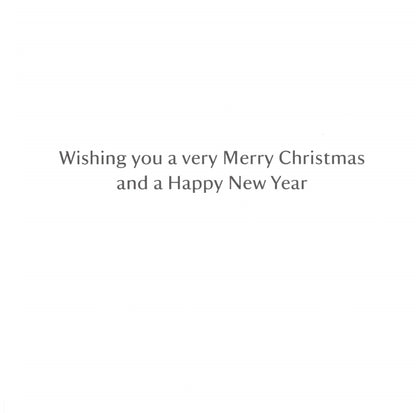 National Trust Birds & Wildlife Box Of 20 Charity Christmas Cards