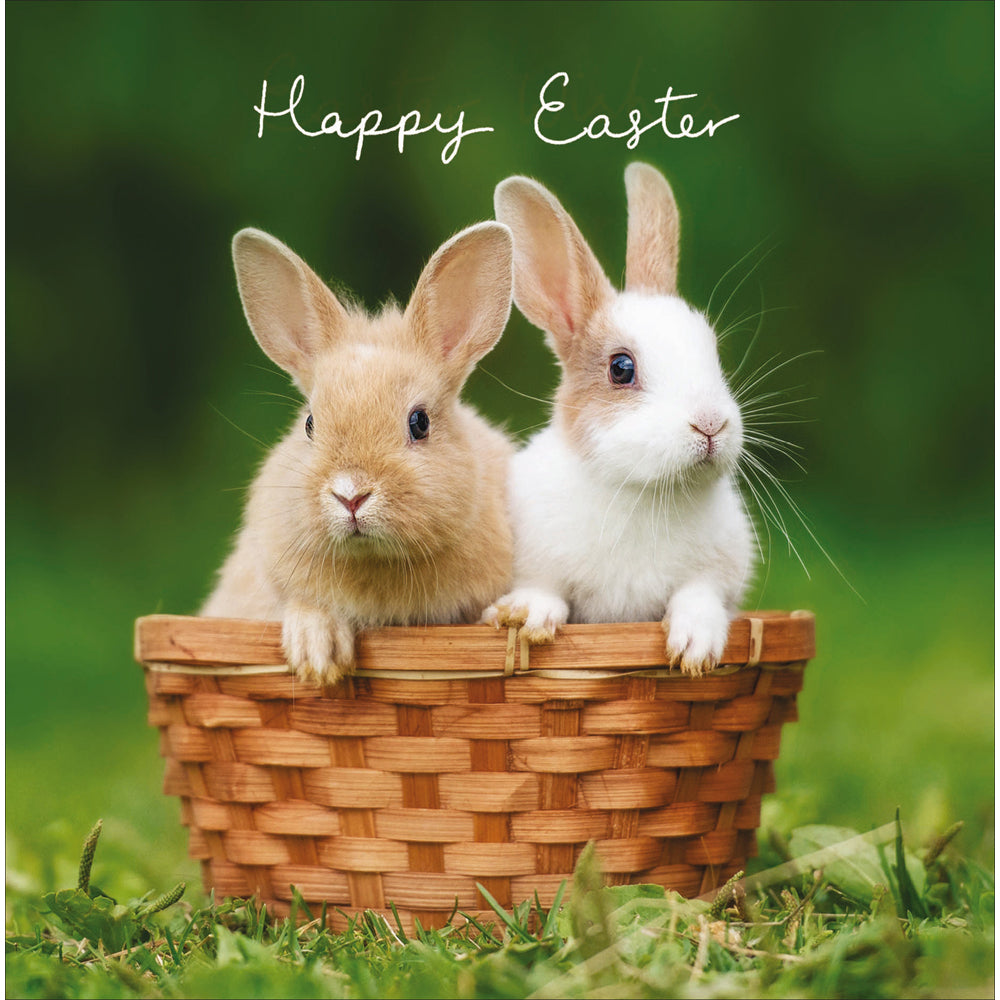 Happy Easter Double The Hoppiness Artistic Easter Greeting Card