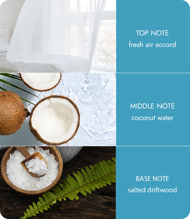 Ocean Breeze & Coconut Soy Wax Candle Sea-Salt Serenity Candle Gift Idea