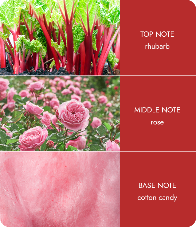 With Love Rose & Rhubarb Diffuser Blooming With Elegance Reed Diffuser Gift Idea