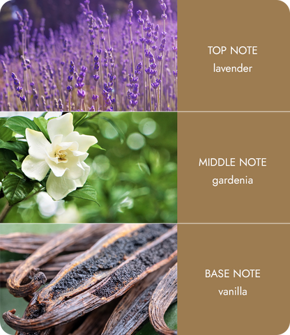 Gardenia & Vanilla Diffuser Love In Watercolour Reed Diffuser Gift Idea