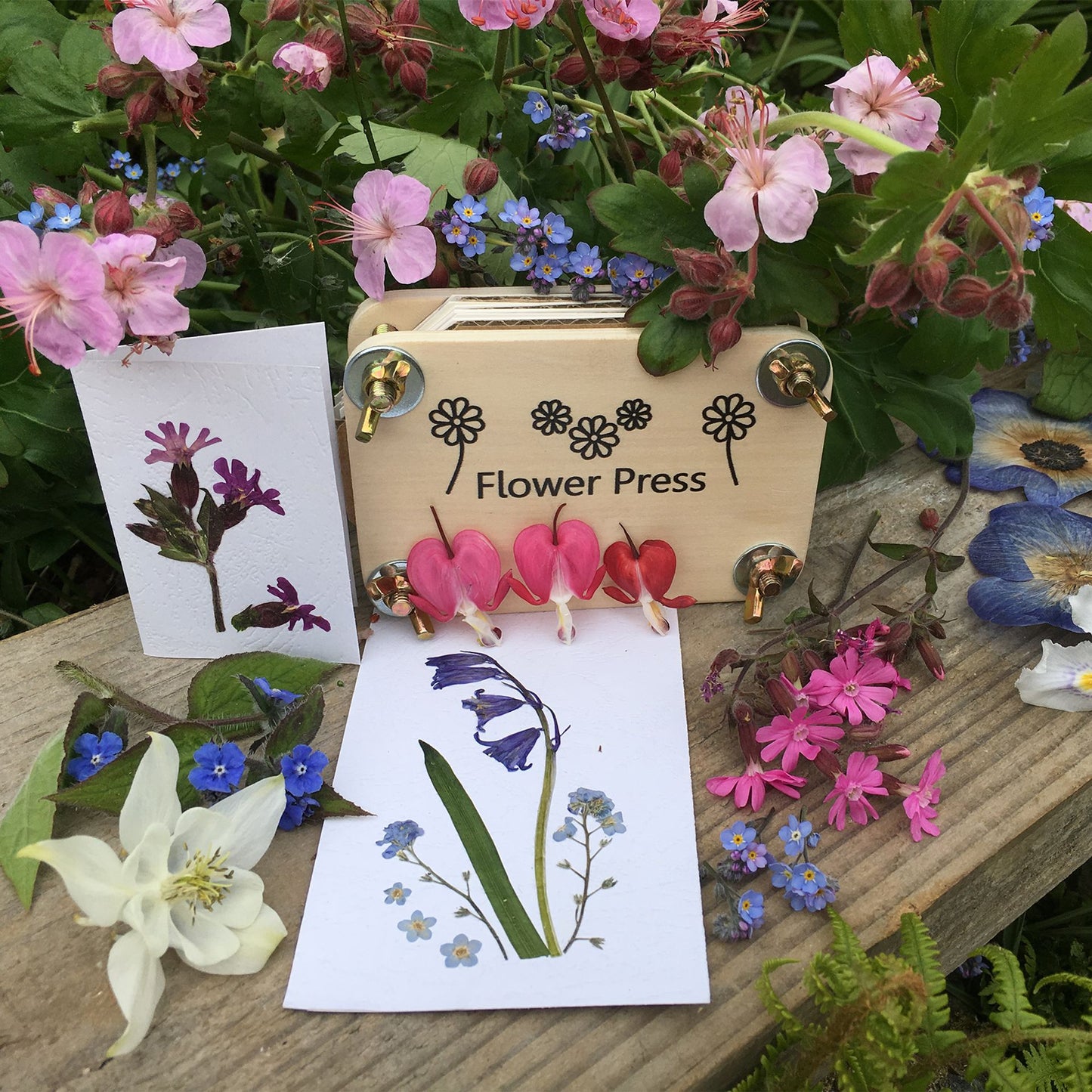 Apples To Pears Flower Pressing Kit Gift In A Tin