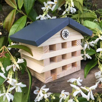Apples To Pears Build A Bee Hotel Kit Gift In A Tin