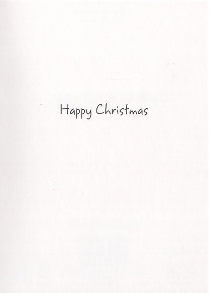 Fernz Can You Guess Your Present Funny Christmas Greeting Card