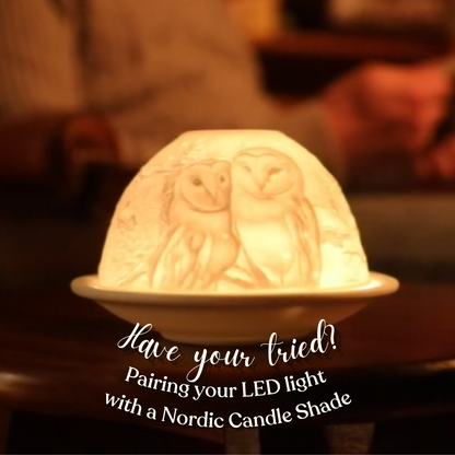 Nordic Lights LED Light For Bone Porcelain Candle Shade