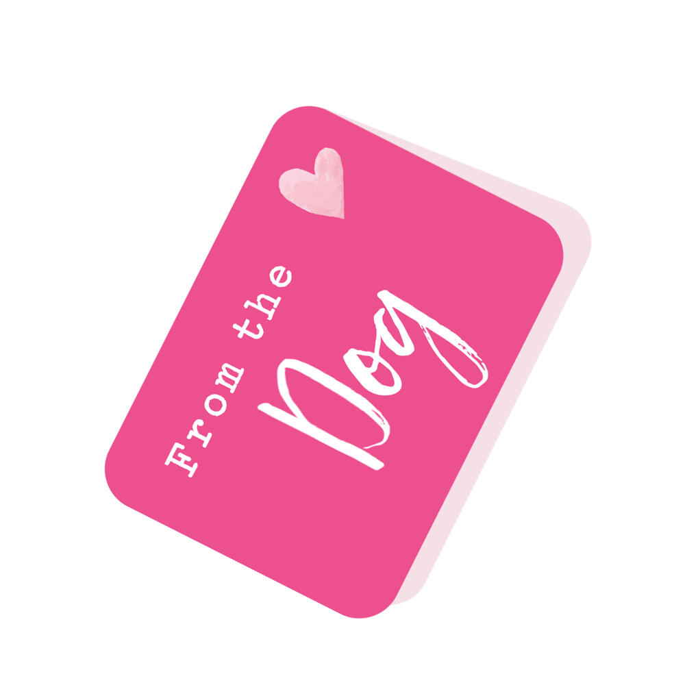 From The Dog Pretty Birds Pop Up Card