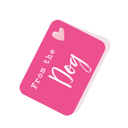 From The Dog Pretty Birds Pop Up Card