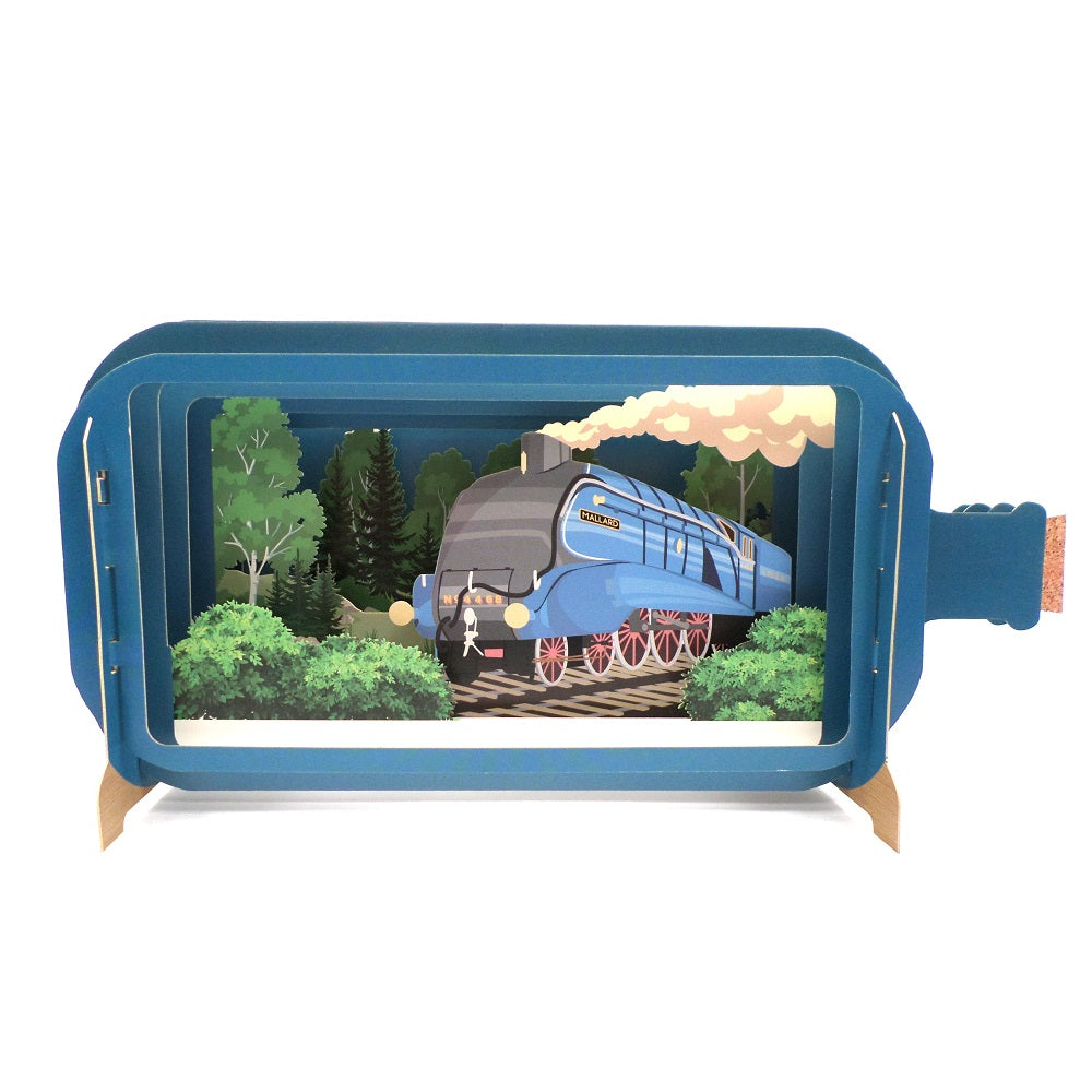 Message In A Bottle Mallard Train Pop Up Any Occasion Greeting Card