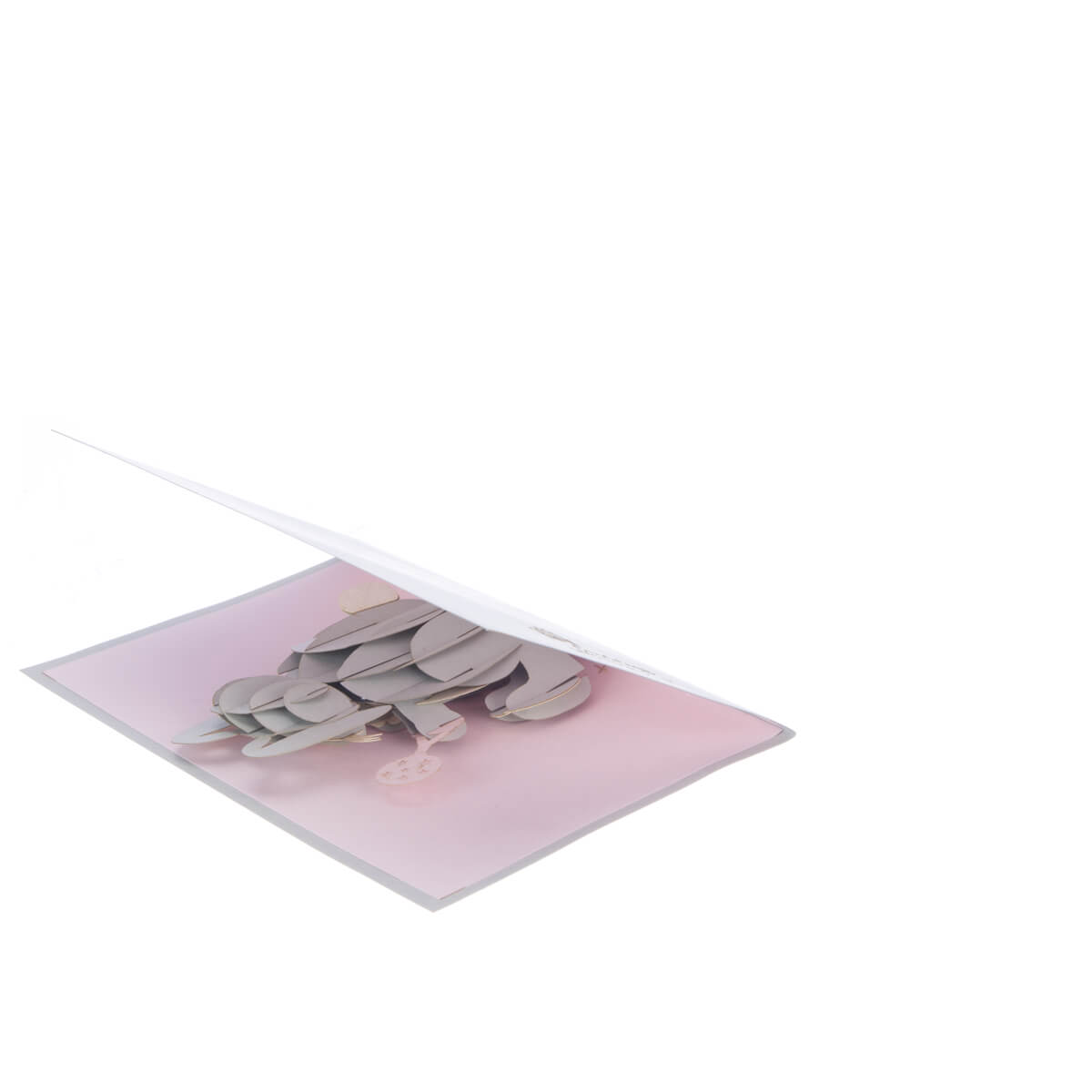 Baby Girl Bunny Pop-Up New Baby Greeting Card Blank Inside