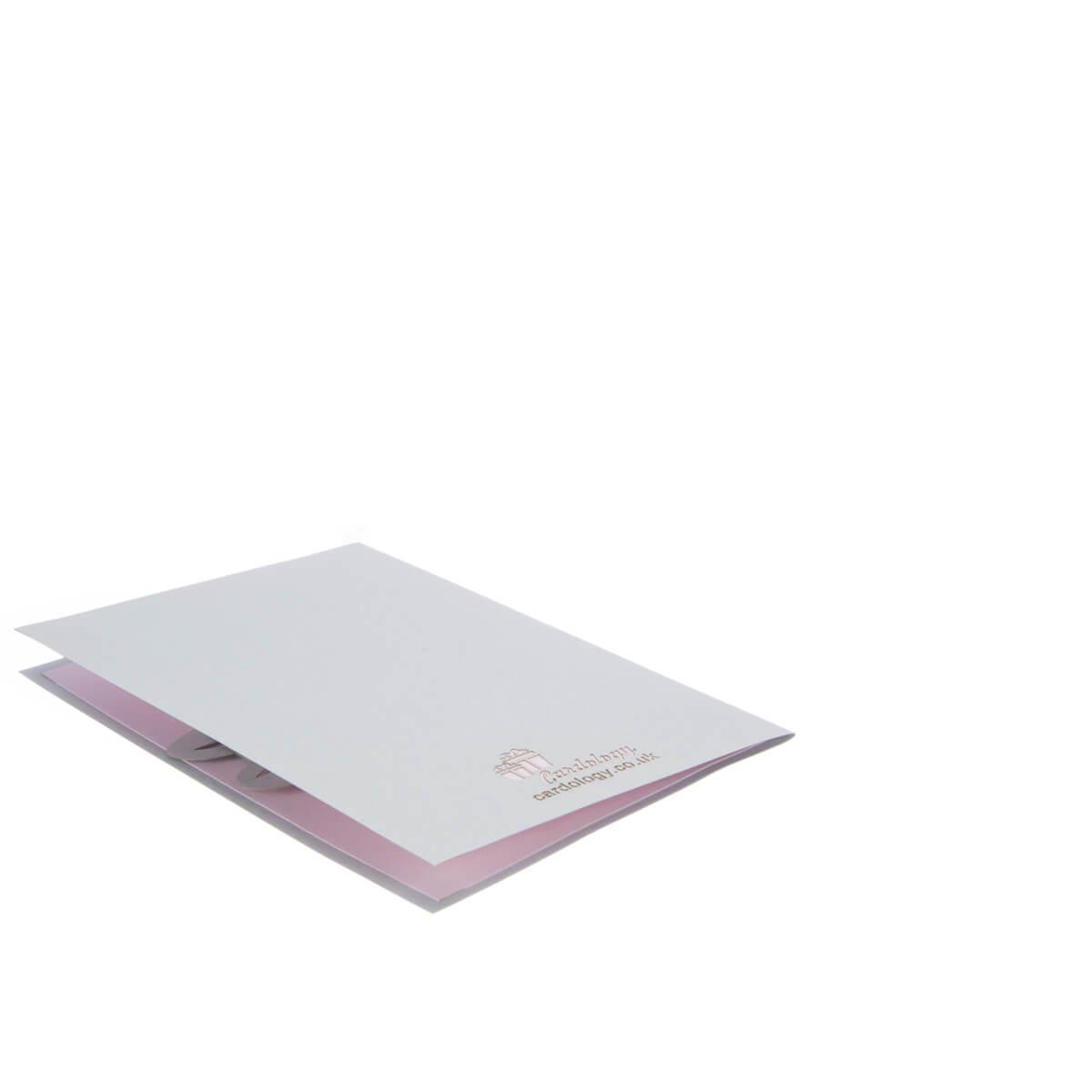 Baby Girl Bunny Pop-Up New Baby Greeting Card Blank Inside