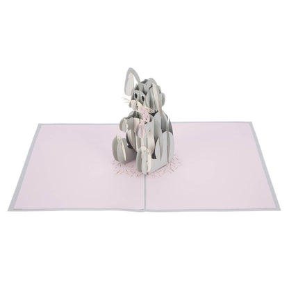 Baby Girl Bunny Pop-Up New Baby Greeting Card Blank Inside