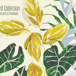 Gifted Stationery Wild Leaf 20 Notecards & Envelopes Set