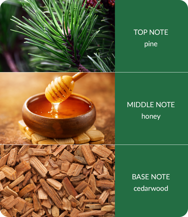 Heart & Home Bamboo Winter Pine & Cedarwood Centrepiece Candle