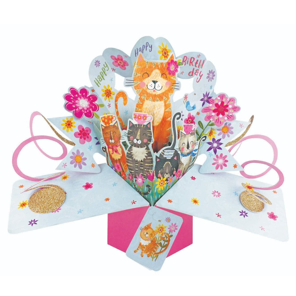 Happy Birthday Cats Pop-Up Greeting Card