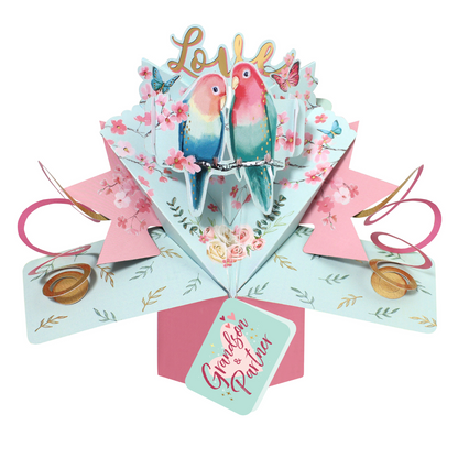 Love Birds Grandson & Partner Pop Up Anniversary Card