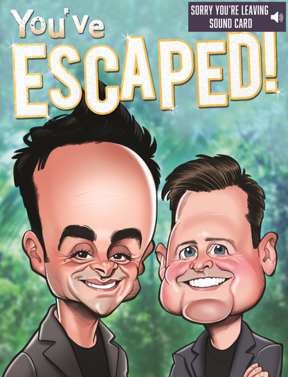 Ant & Dec Sorry You're Leaving Large Greeting Sound Card Blank Inside
