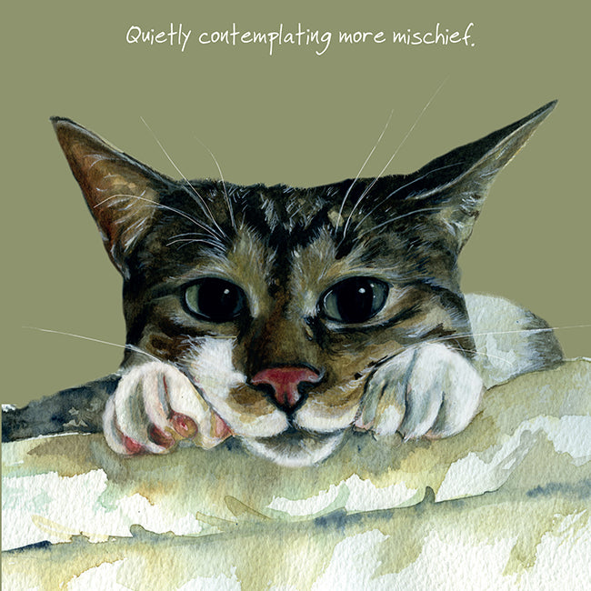Cat Contemplating Mischief Little Dog Laughed Greeting Card