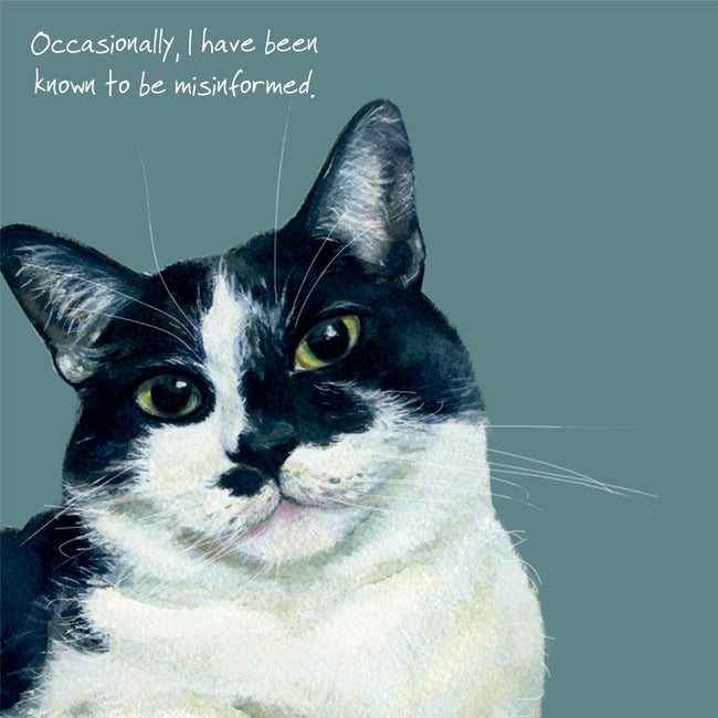 Misinformed Cat Little Dog Laughed Greeting Card