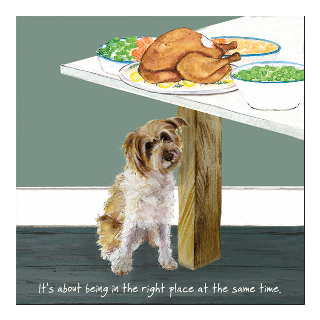 Right Place Right Time Little Dog Laughed Greeting Card