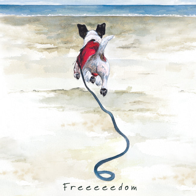 Freedom Dog On Beach Little Dog Laughed Greeting Card