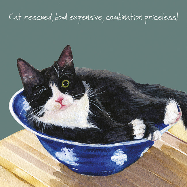 One Eyed Cat Little Dog Laughed Greeting Card