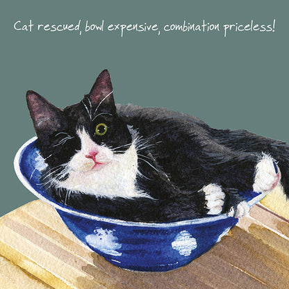 One Eyed Cat Little Dog Laughed Greeting Card