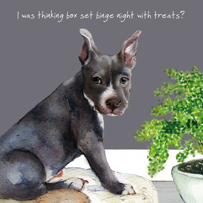 Staffie Bull Terrier Little Dog Laughed Greeting Card