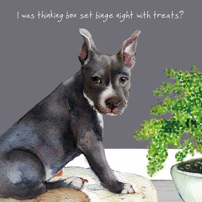 Staffie Bull Terrier Little Dog Laughed Greeting Card