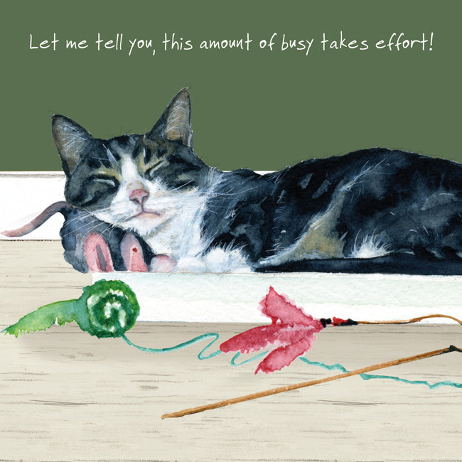 Cat Busy Takes Effort Little Dog Laughed Greeting Card