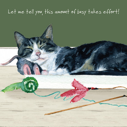 Cat Busy Takes Effort Little Dog Laughed Greeting Card