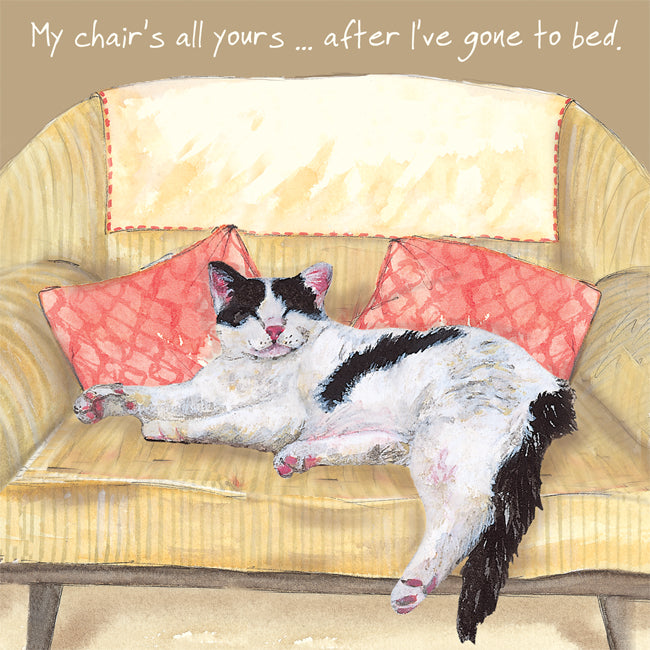 Cat Chair Bed Little Dog Laughed Greeting Card