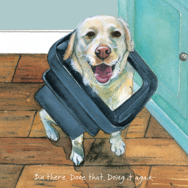 Bin There Done That Little Dog Laughed Greeting Card