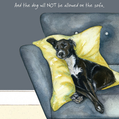 Dog Not Allowed On The Sofa Little Dog Laughed Greeting Card