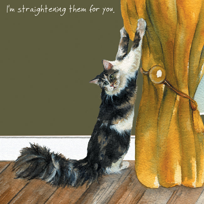 Cat Straightening Curtains Little Dog Laughed Greeting Card